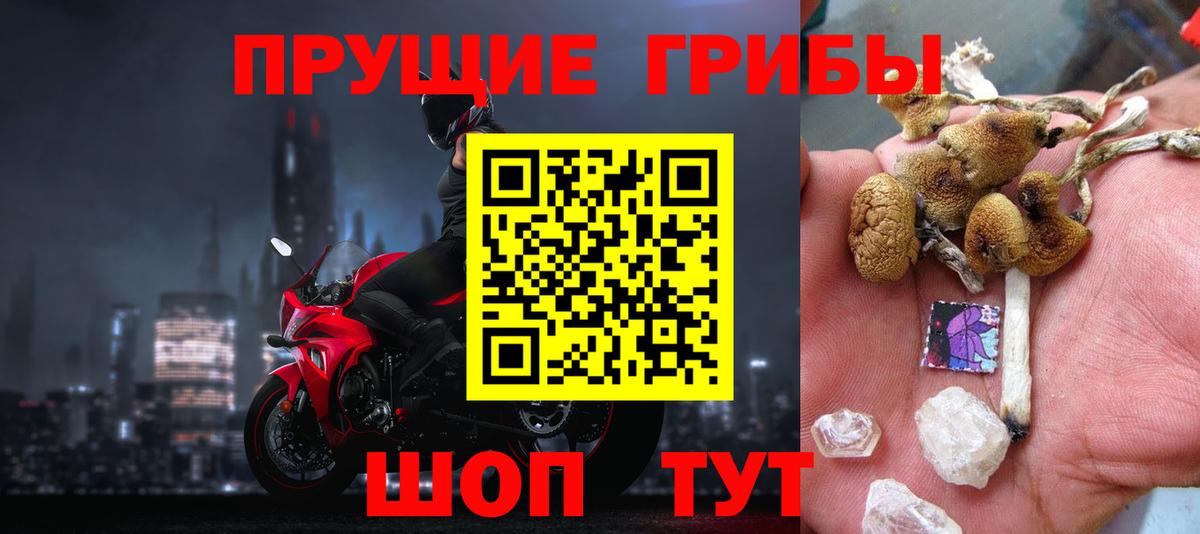 Псилоцибиновые грибы ЛСД  Северобайкальск  Галлюциногенные грибы прущие грибы 