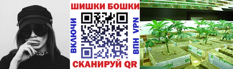 закладка Северобайкальск МАРИХУАНА White Widow